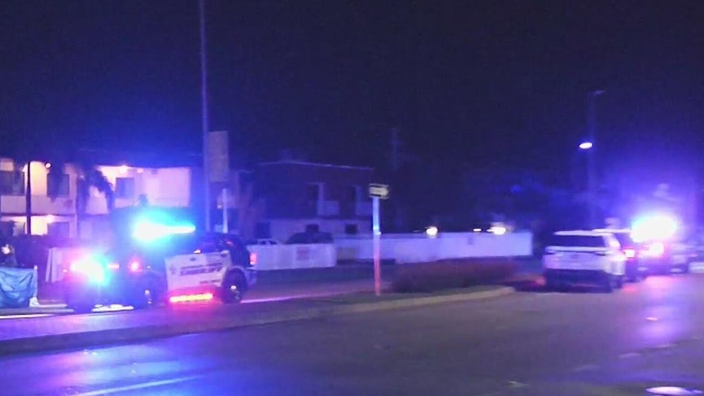 Woman accused of killing man in Dania Beach hit-and-run, BSO says — CBS Miami, Napa Community news
