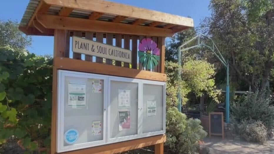San Jose community garden told to leave as land is sold to developer — CBS Bay Area (KPIX), Napa Real Estate news