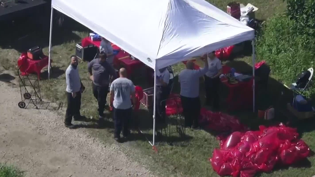 Family, friends of two men charged in Miami-Dade cockfighting case say allegations are false — CBS Miami, Napa Real Estate news