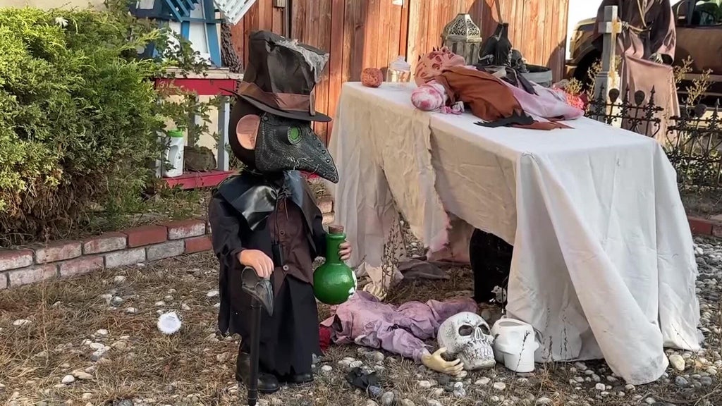 Halloween decorations worth roughly $700 stolen from San Leandro home — CBS Bay Area (KPIX), Napa Schools news