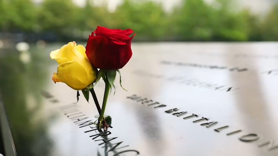 Second 9/11 victim identified with breakthrough genetic genealogy, NYC officials say
— ABC 7 Bay Area, Napa Community news