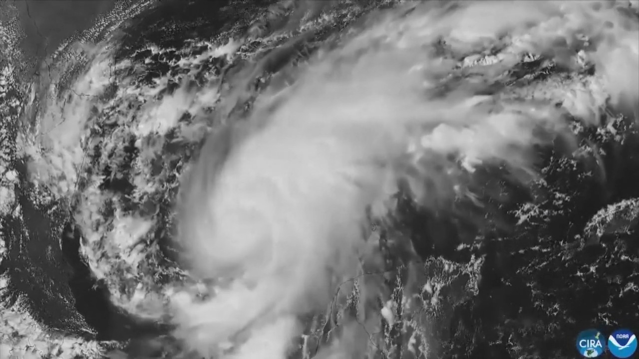 Hurricane Isaias: Residents board up windows and National Guard troops deploy as storm nears US Gulf Coast
— ABC 7 Bay Area, Napa Sports news