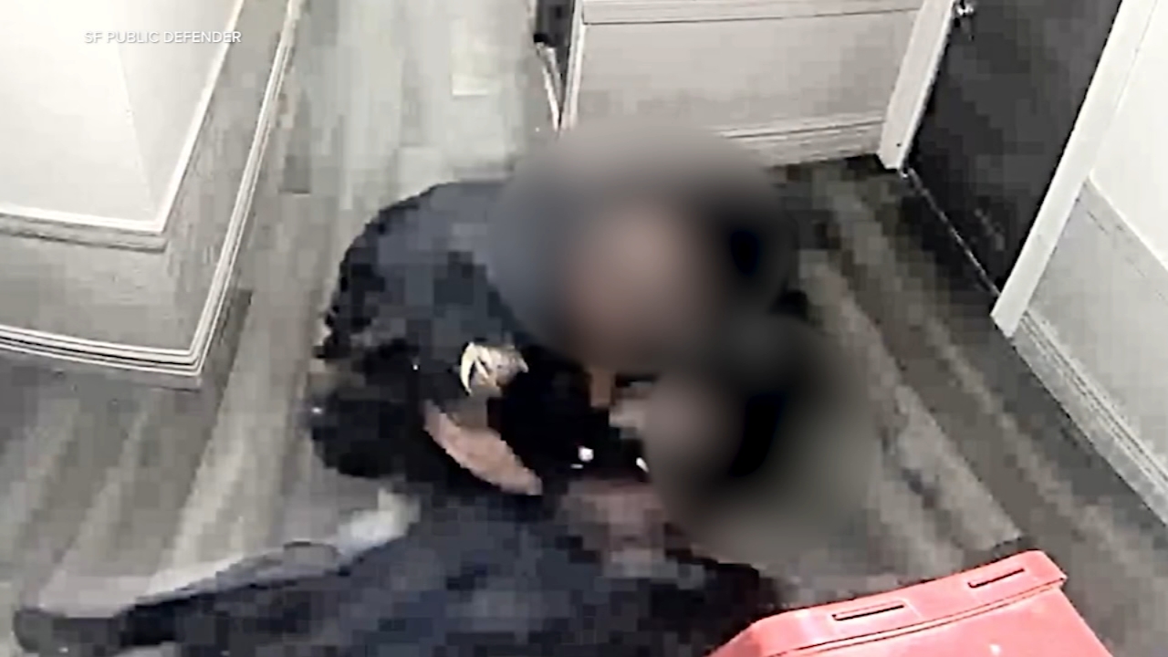 Bodycam shows San Francisco police officers beating man during 2025 arrest
       — ABC 7 Bay Area, Napa Health news