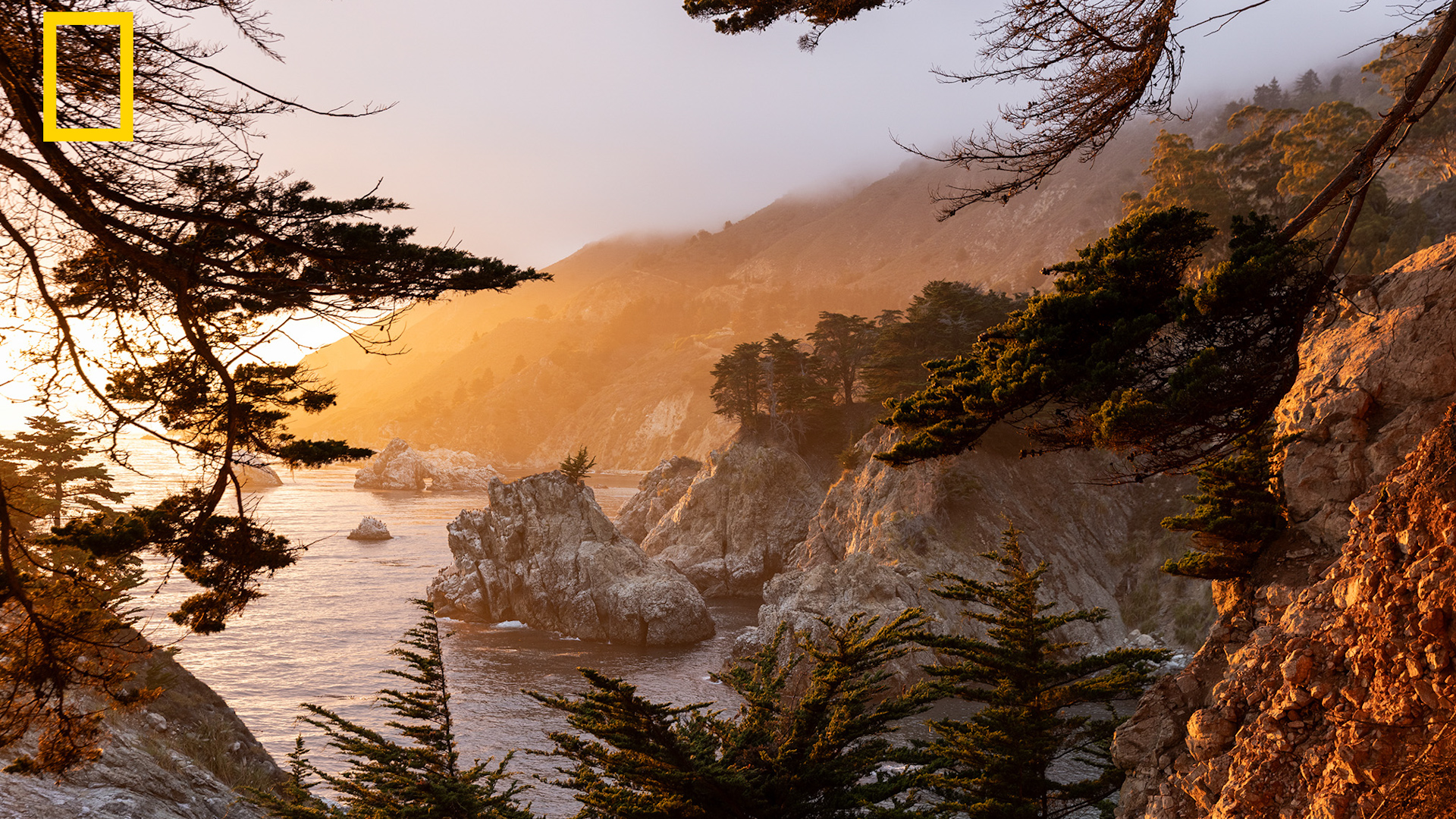 USA destinations included in National Geographic's best places in the world to visit in 2027
       — ABC 7 Bay Area