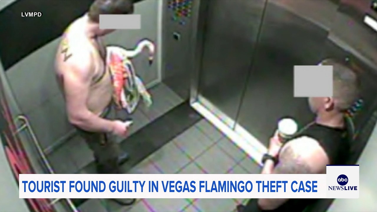 Man who snatched Peachy the flamingo from Las Vegas hotel exhibit found guilty of animal cruelty
— ABC 7 Bay Area, Napa Arts news