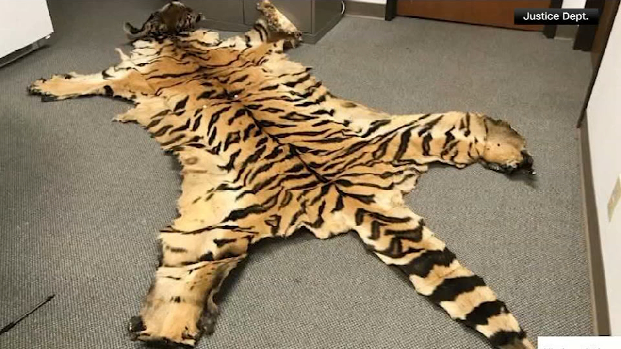 California couple pleads guilty to trafficking wildlife
       — ABC 7 Bay Area