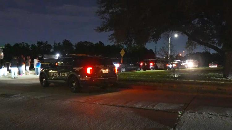 HPD: Man dies after going for swim in Sims Bayou in southeast Houston — KHOU 11 (Houston), Napa Sports news