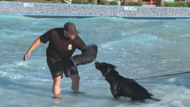 Tampa police K-9s train at theme park to prepare for emergencies — WTSP 10 Tampa Bay, Napa Community news