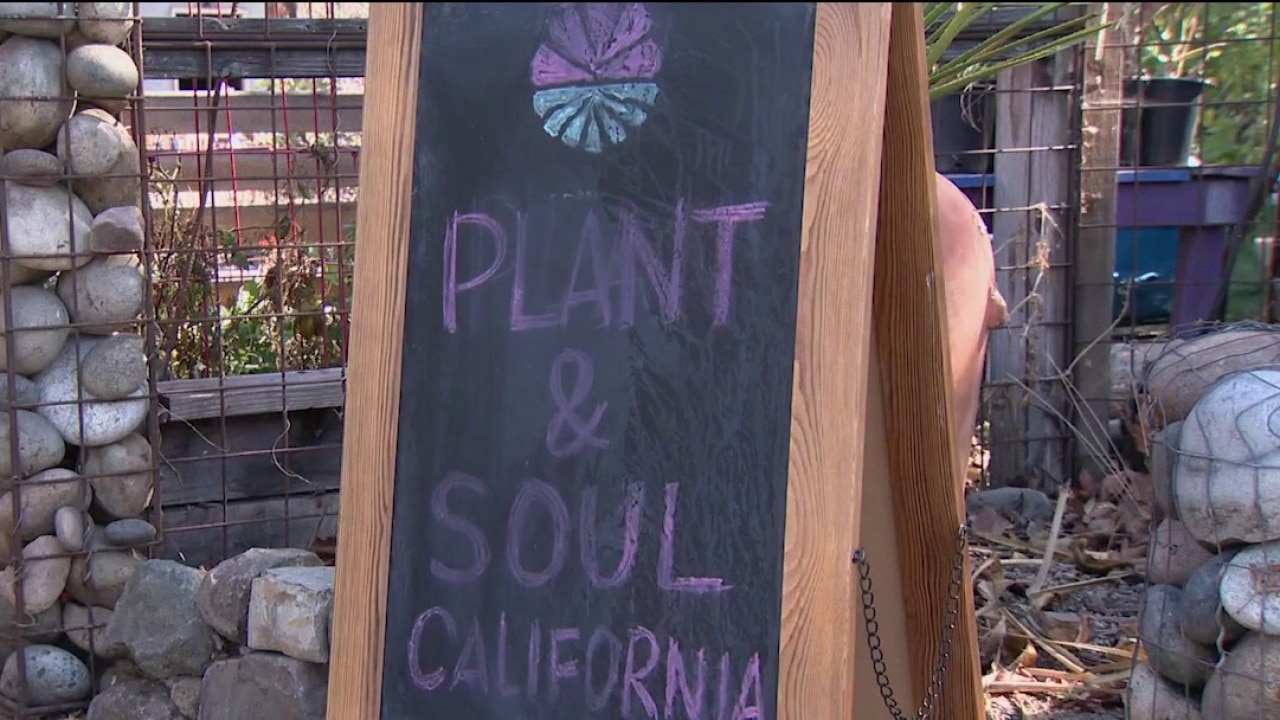 San Jose community garden faces possible eviction — KTVU FOX 2 Bay Area, Napa Schools news