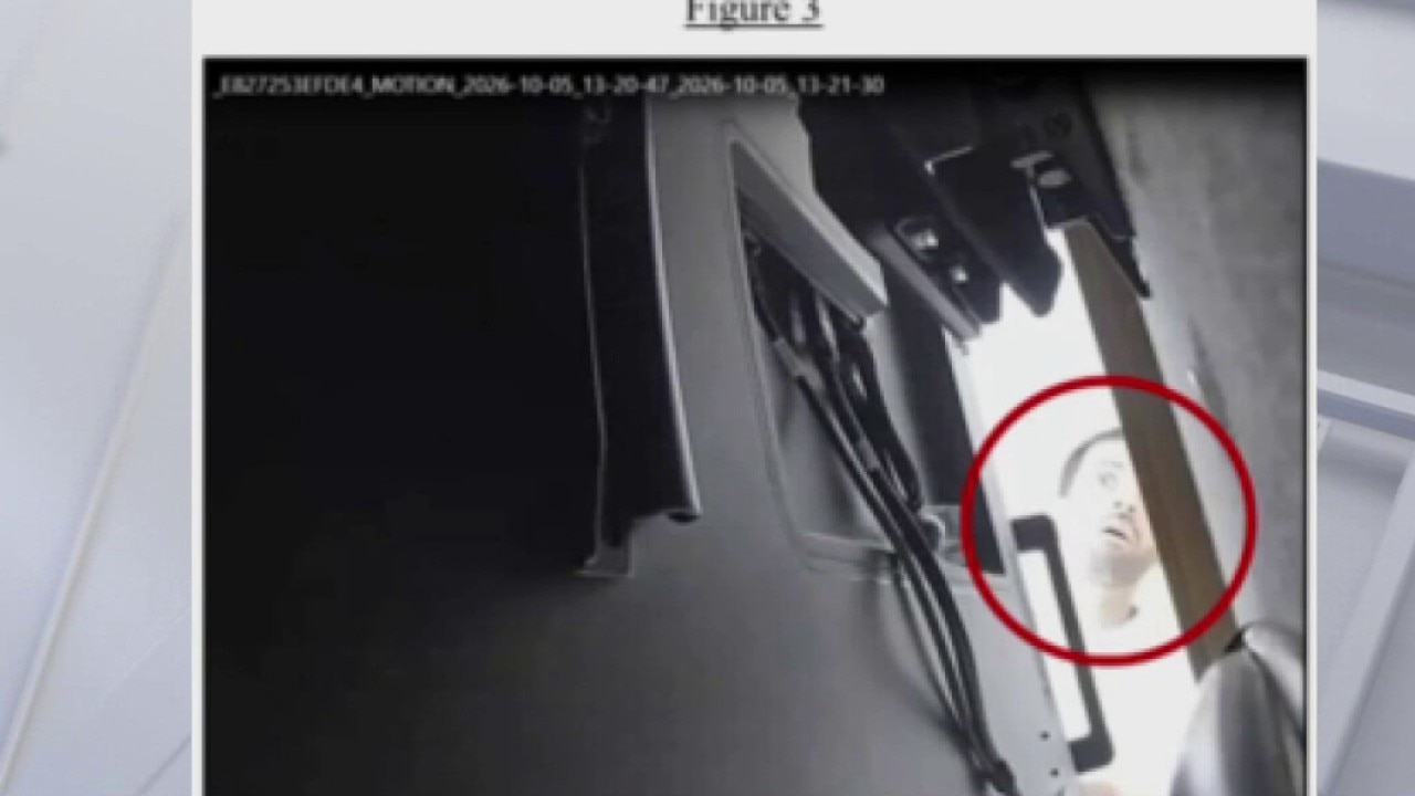 Federal grand jury indicts alleged open AI spy  — Napa Technology news