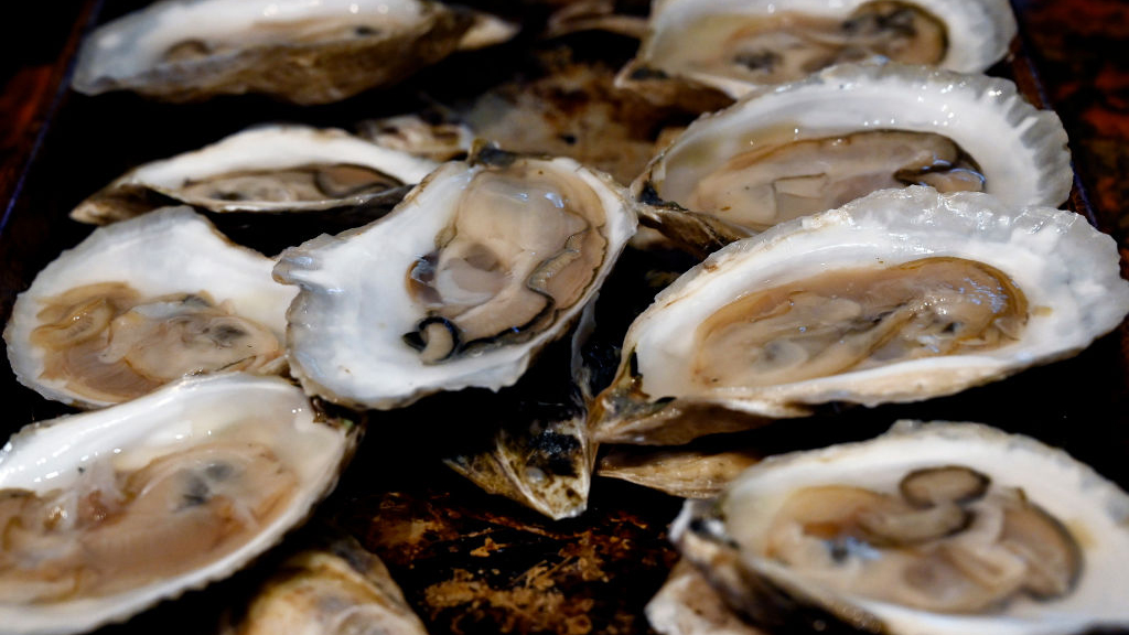 Sewage leak temporarily halts Tomales Bay oyster harvest — KTVU FOX 2 Bay Area, Napa Business news