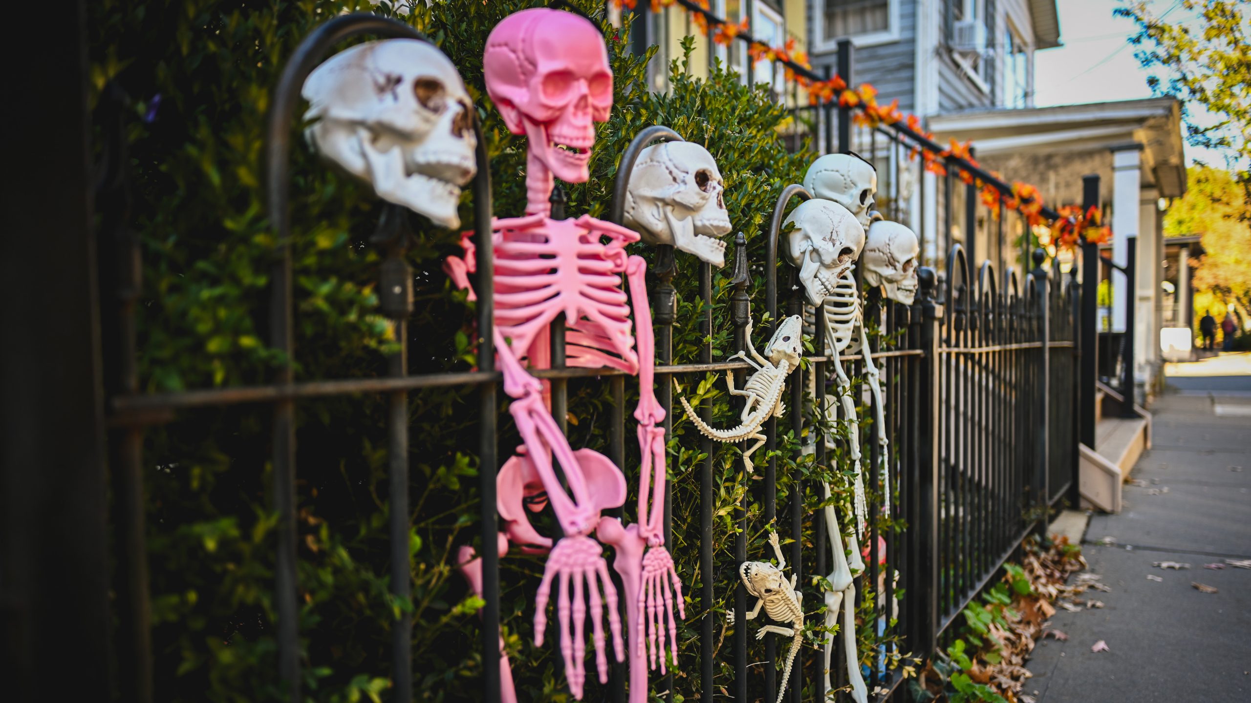 America's best cities for Halloween, ranked — KTVU FOX 2 Bay Area, Napa Community news