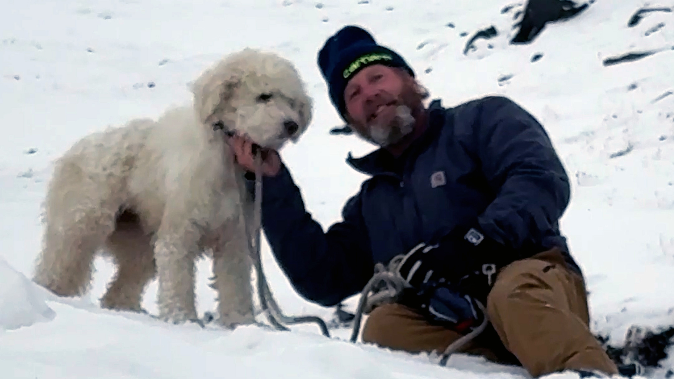 Watch: Dog lost in Alaska avalanche miraculously found 2 days later — KTVU FOX 2 Bay Area, Napa Community news